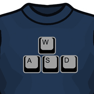 WASD Keys